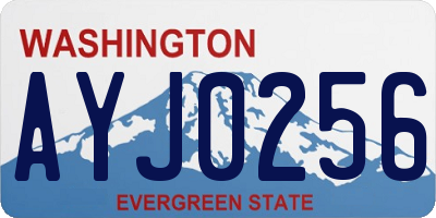 WA license plate AYJ0256