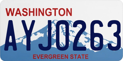 WA license plate AYJ0263