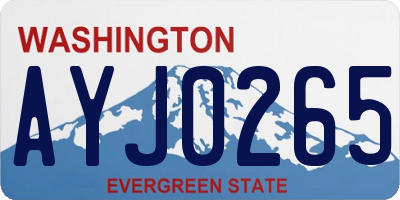 WA license plate AYJ0265