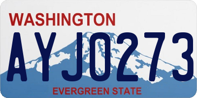 WA license plate AYJ0273