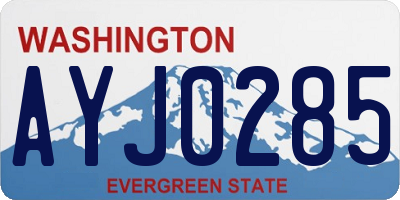 WA license plate AYJ0285