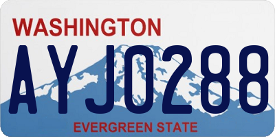 WA license plate AYJ0288