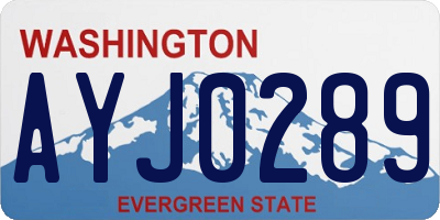 WA license plate AYJ0289