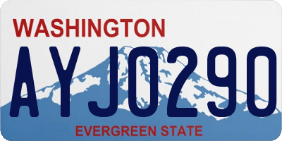 WA license plate AYJ0290