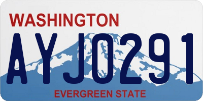 WA license plate AYJ0291