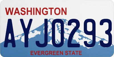 WA license plate AYJ0293