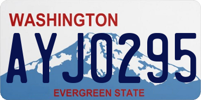 WA license plate AYJ0295