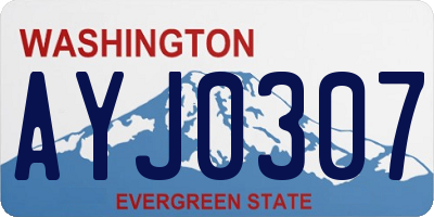 WA license plate AYJ0307