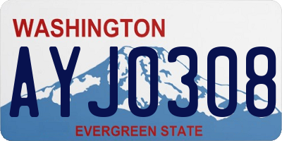 WA license plate AYJ0308