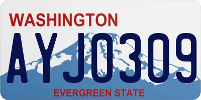 WA license plate AYJ0309