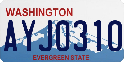 WA license plate AYJ0310