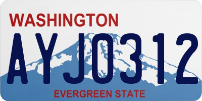 WA license plate AYJ0312