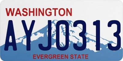 WA license plate AYJ0313