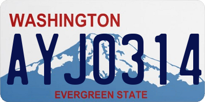 WA license plate AYJ0314