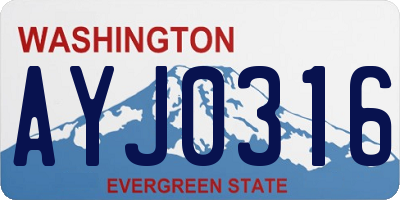 WA license plate AYJ0316