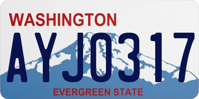 WA license plate AYJ0317