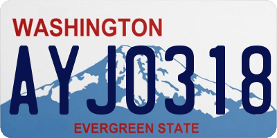 WA license plate AYJ0318