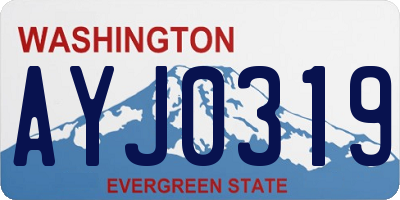 WA license plate AYJ0319