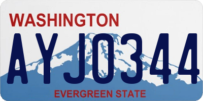 WA license plate AYJ0344