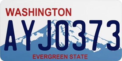 WA license plate AYJ0373