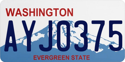 WA license plate AYJ0375