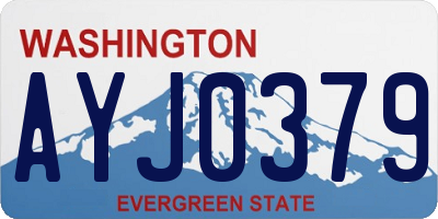 WA license plate AYJ0379