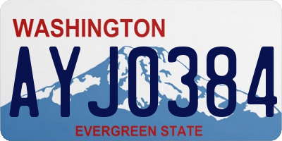 WA license plate AYJ0384