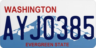 WA license plate AYJ0385