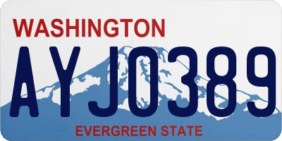 WA license plate AYJ0389