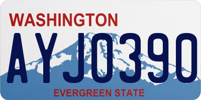 WA license plate AYJ0390