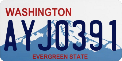 WA license plate AYJ0391