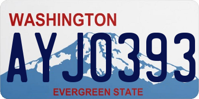 WA license plate AYJ0393