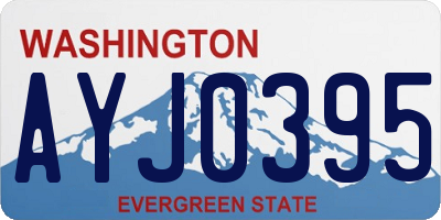 WA license plate AYJ0395