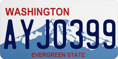 WA license plate AYJ0399