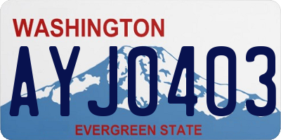 WA license plate AYJ0403