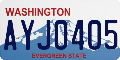 WA license plate AYJ0405