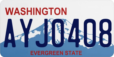 WA license plate AYJ0408