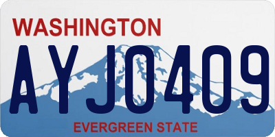 WA license plate AYJ0409