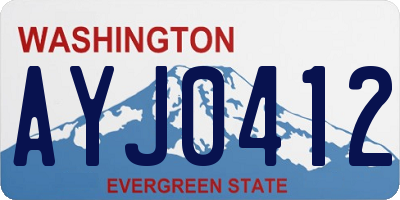 WA license plate AYJ0412