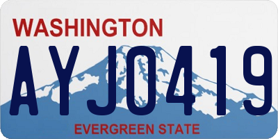 WA license plate AYJ0419