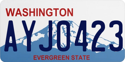 WA license plate AYJ0423