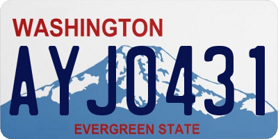 WA license plate AYJ0431