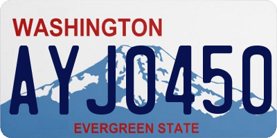 WA license plate AYJ0450