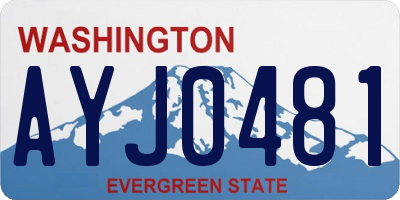 WA license plate AYJ0481
