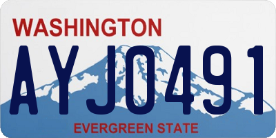 WA license plate AYJ0491