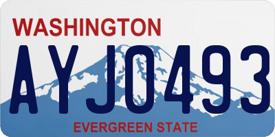 WA license plate AYJ0493