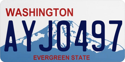 WA license plate AYJ0497