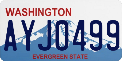 WA license plate AYJ0499