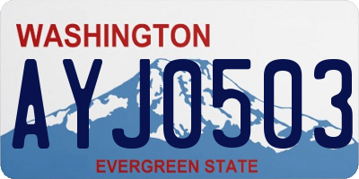 WA license plate AYJ0503