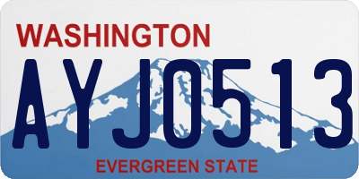 WA license plate AYJ0513